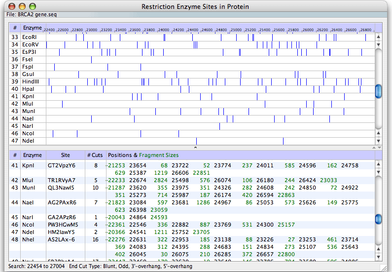 restriction enzyme search result