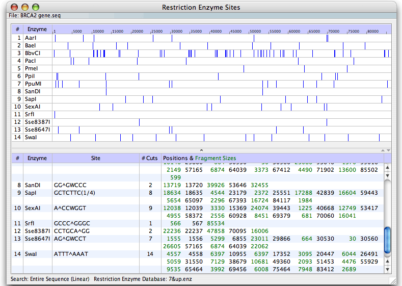 restriction enzyme search result