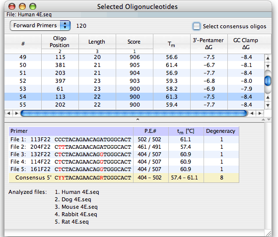 selected oligonucleotides window