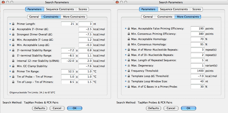Search Constraints windows