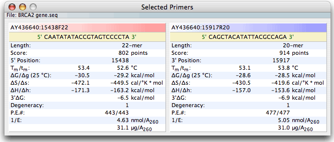 primers key info