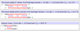 secondary DNA structure