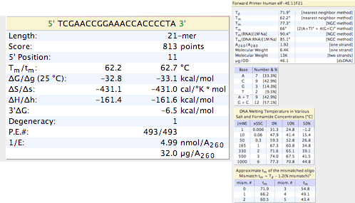 primer properties